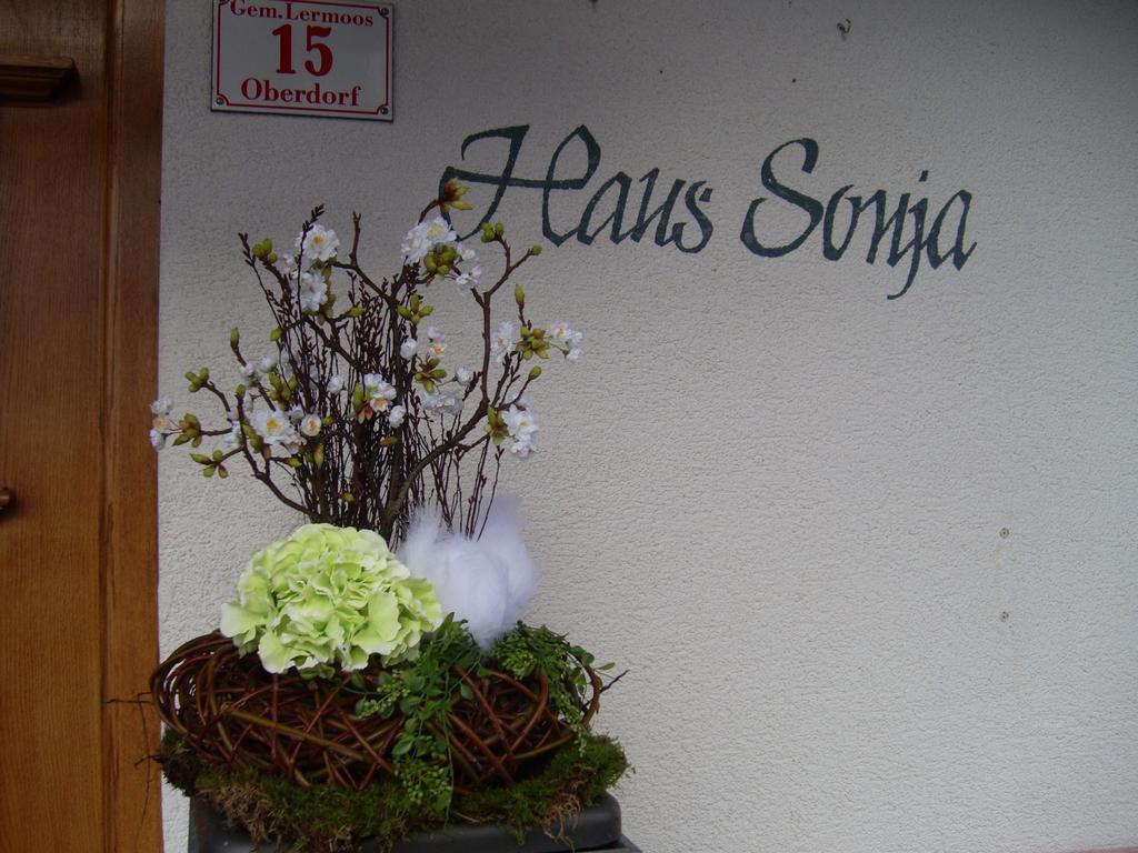 Appartement Haus Sonja à Lermoos Extérieur photo